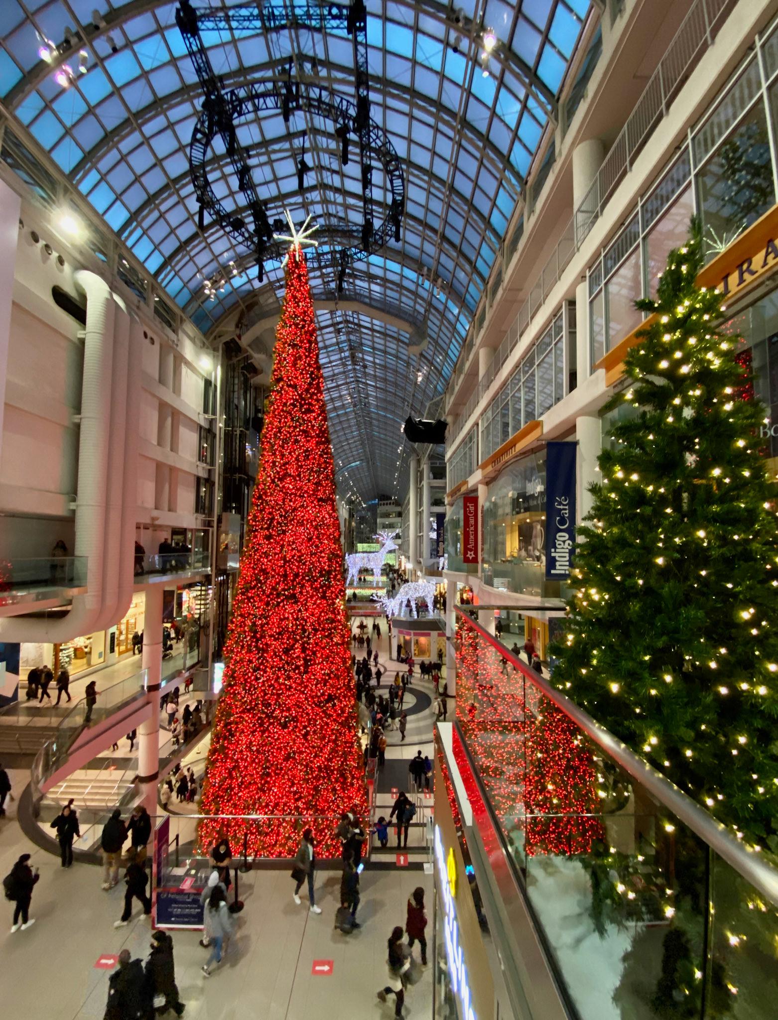Toronto at Christmas December 2022