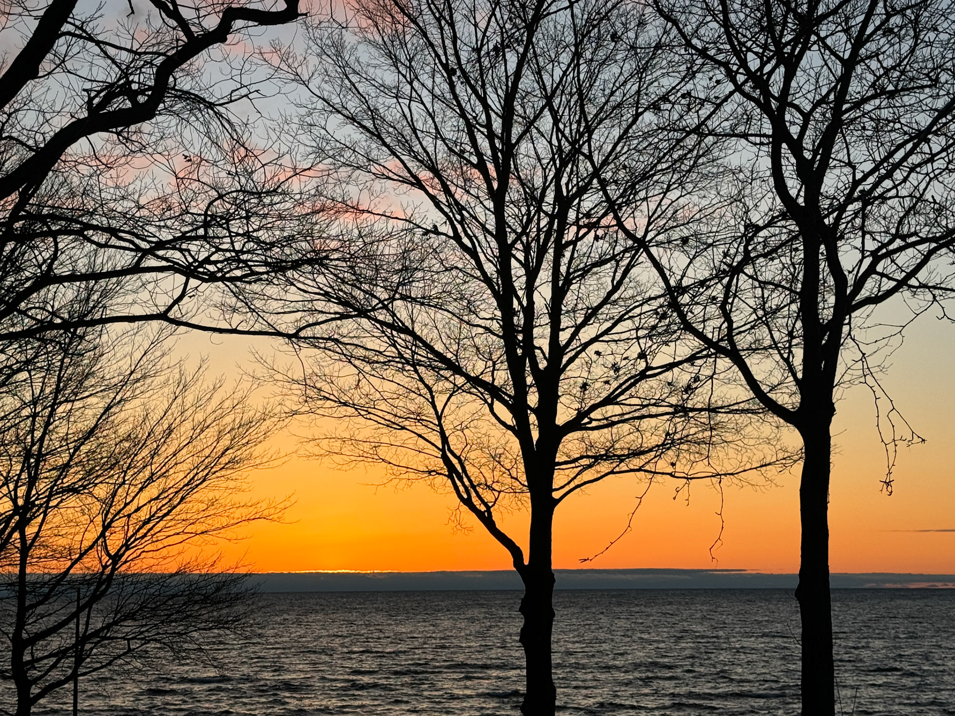 Visiting the cottage - March 15, 2024