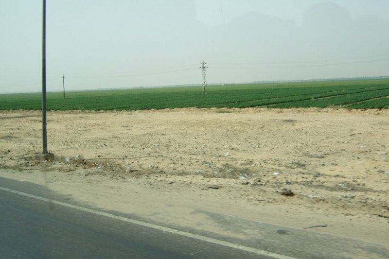 Oman and Egypt - the desert
