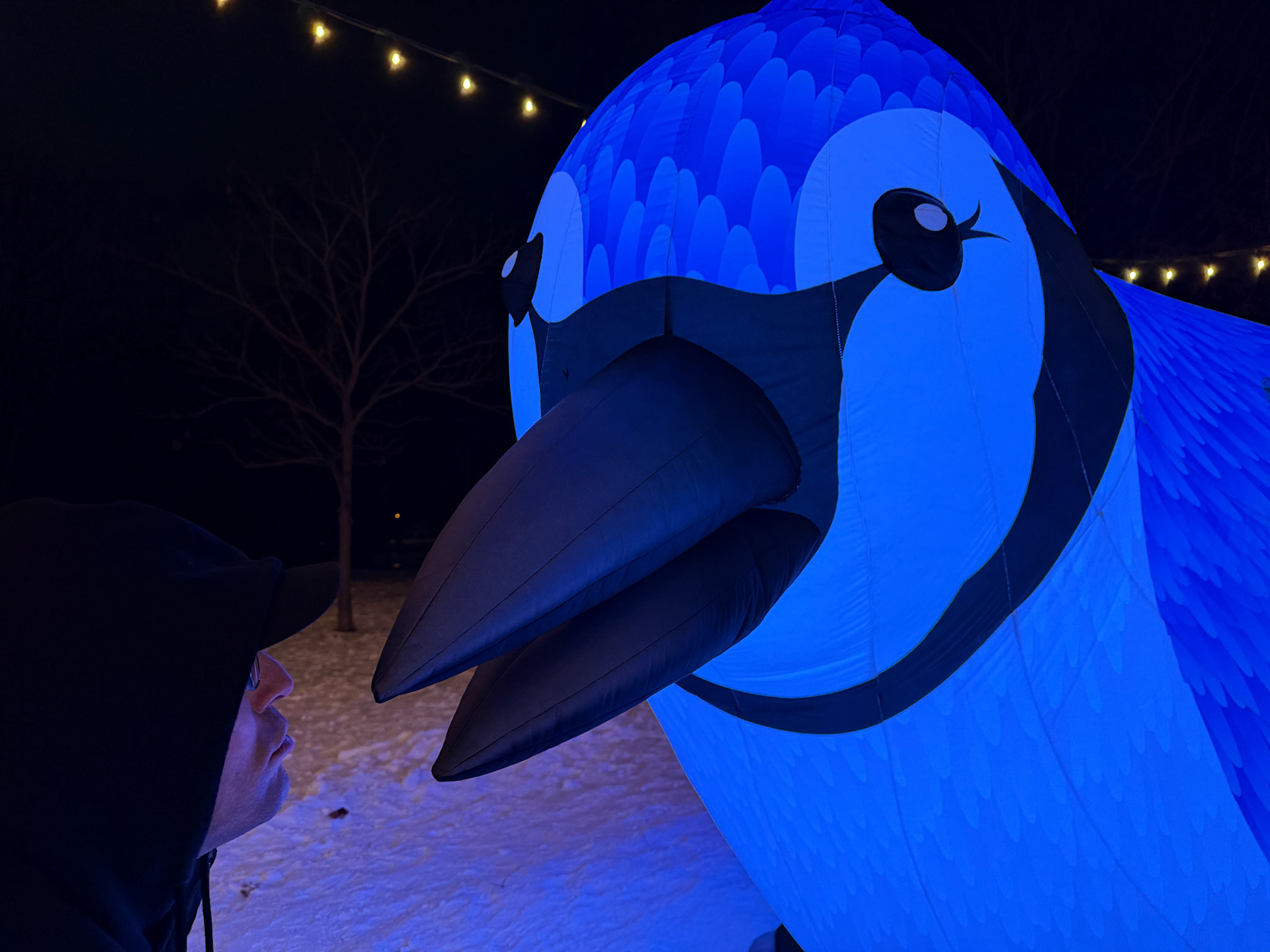 The Birds of a Feather installation at Tom Patterson Island