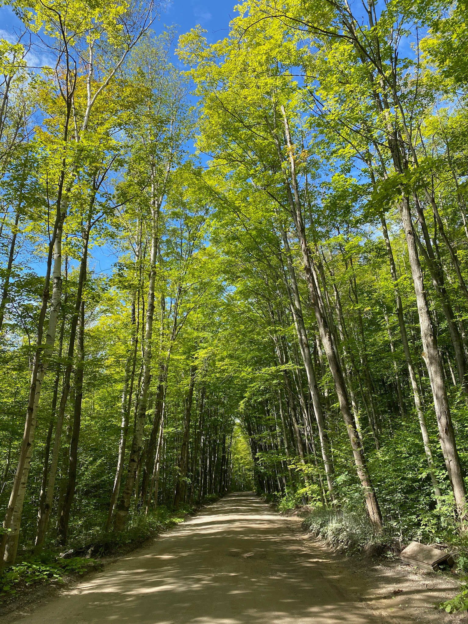 Cottage Bike Ride - September 5, 2020