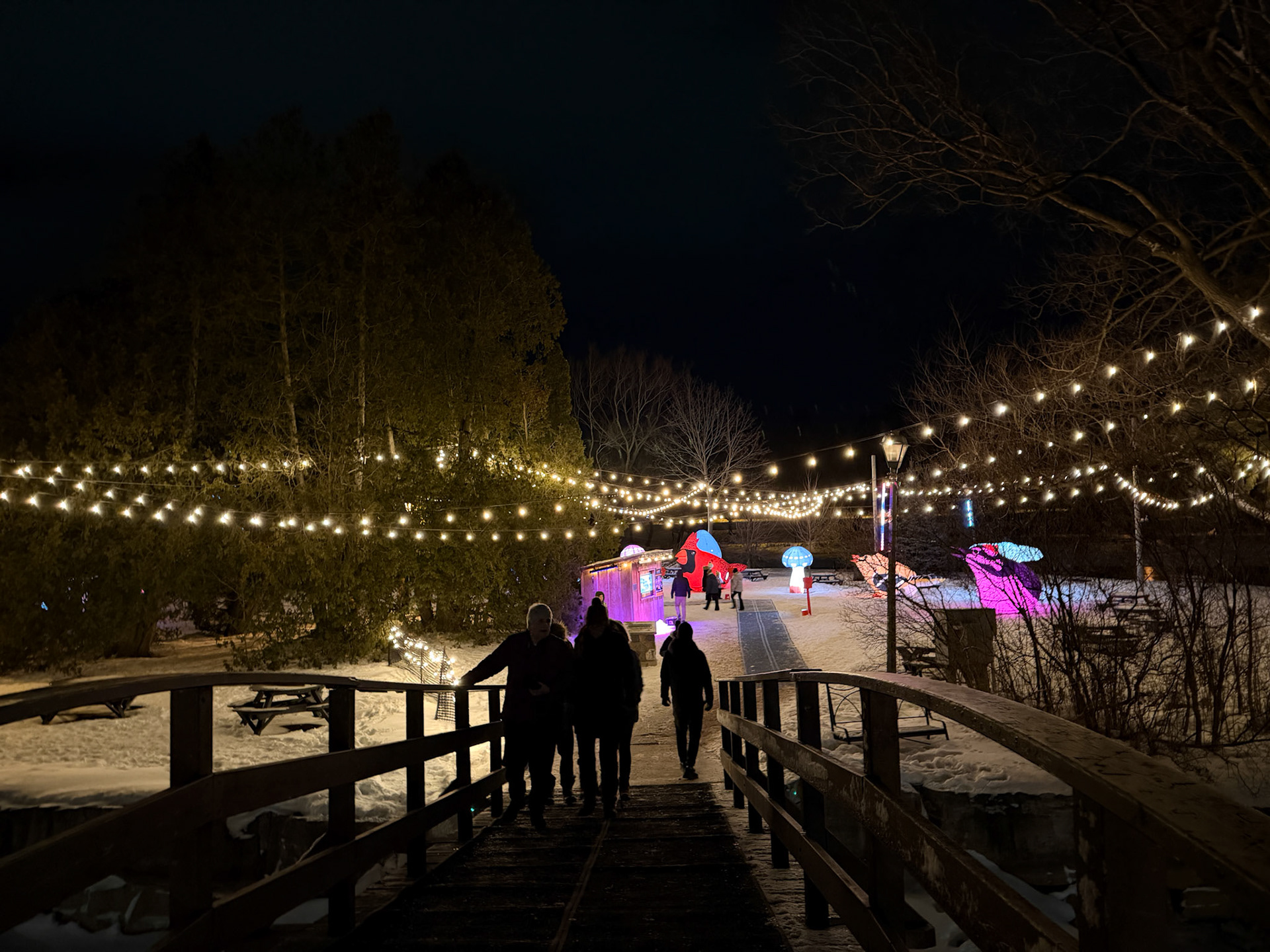 We headed to Tom Patterson Island to check out more lights