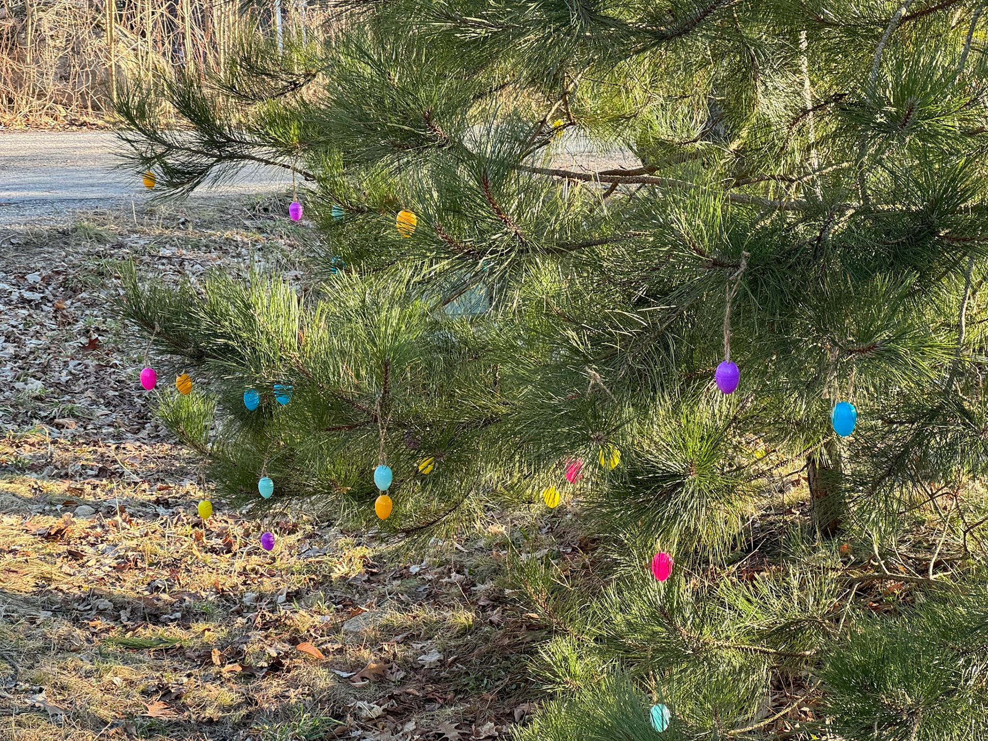 Easter decorations spotted on my walk around the cottage