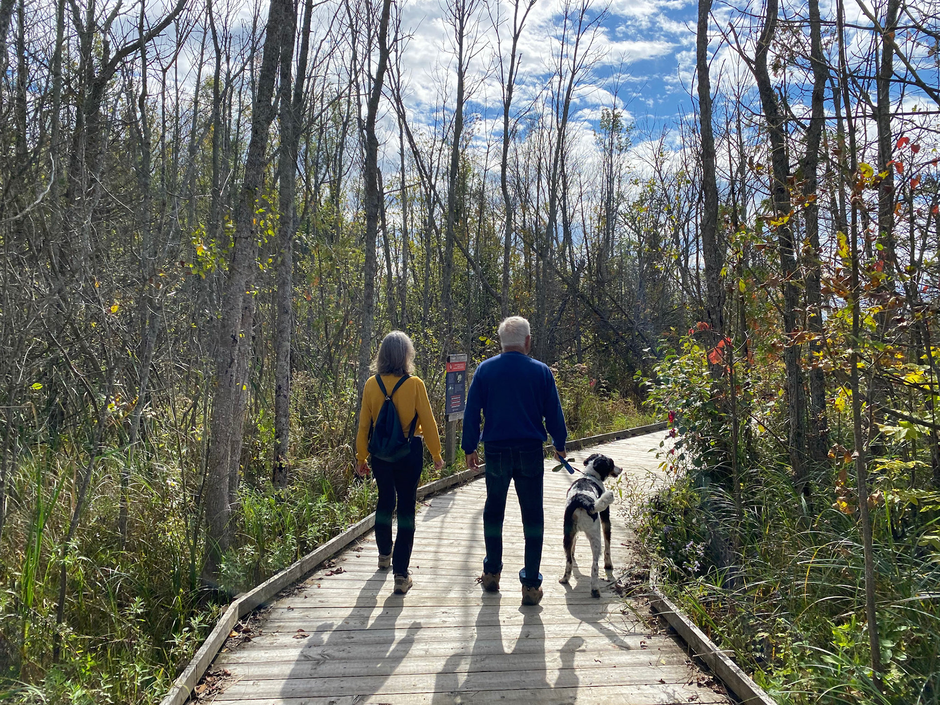 Visit to beautiful Wye Marsh