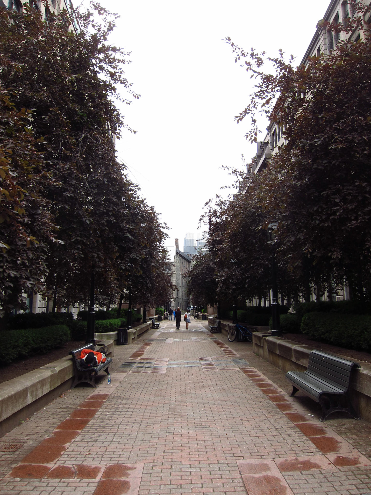 A park in Old Montreal