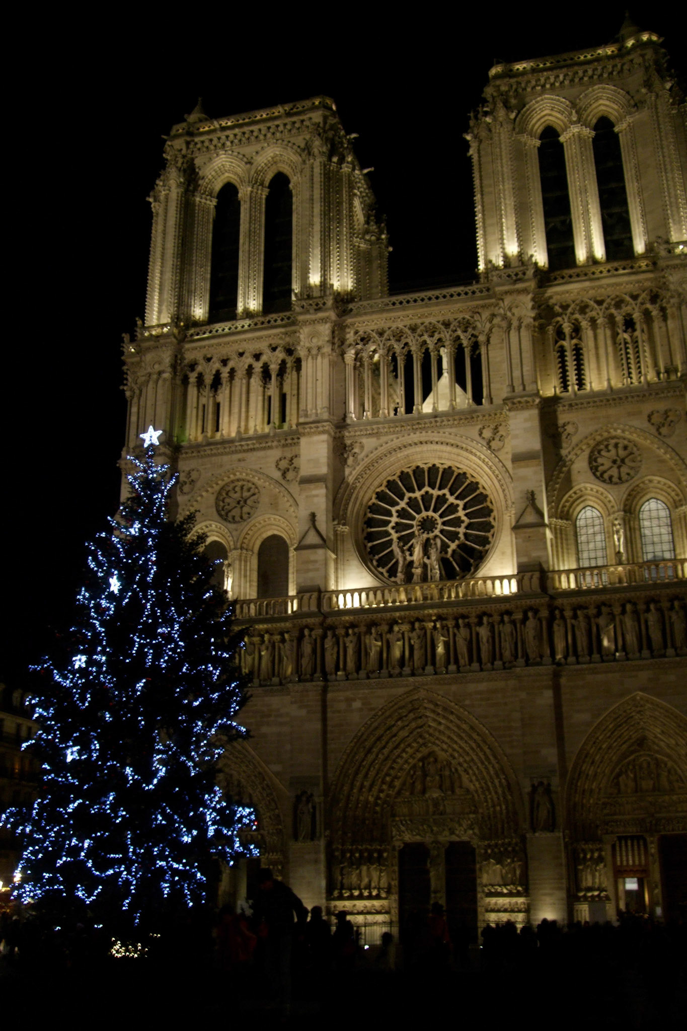 Notre Dame and the Christmas tree lit up at night