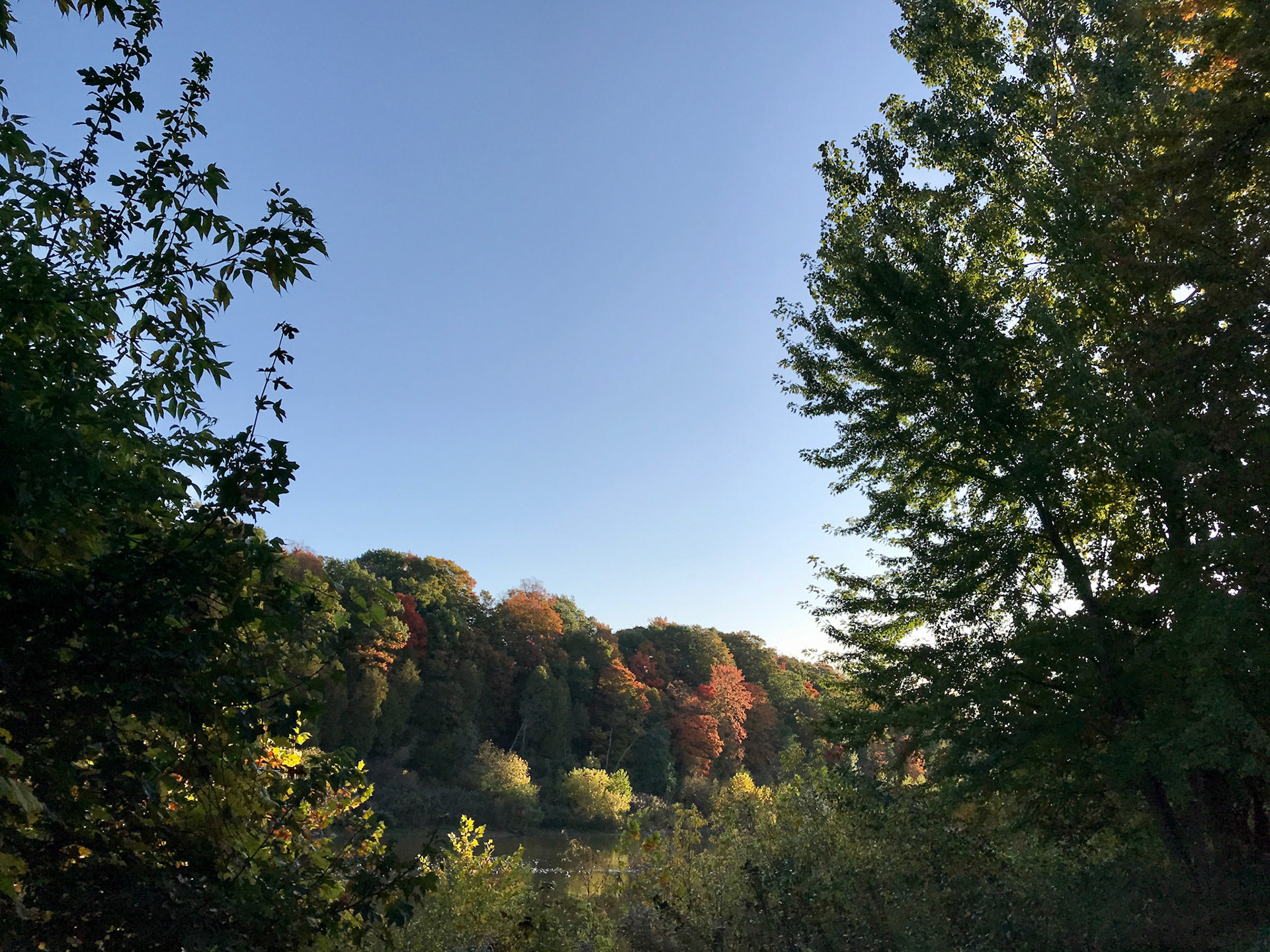 Thanksgiving sunrise, October 13, 2019