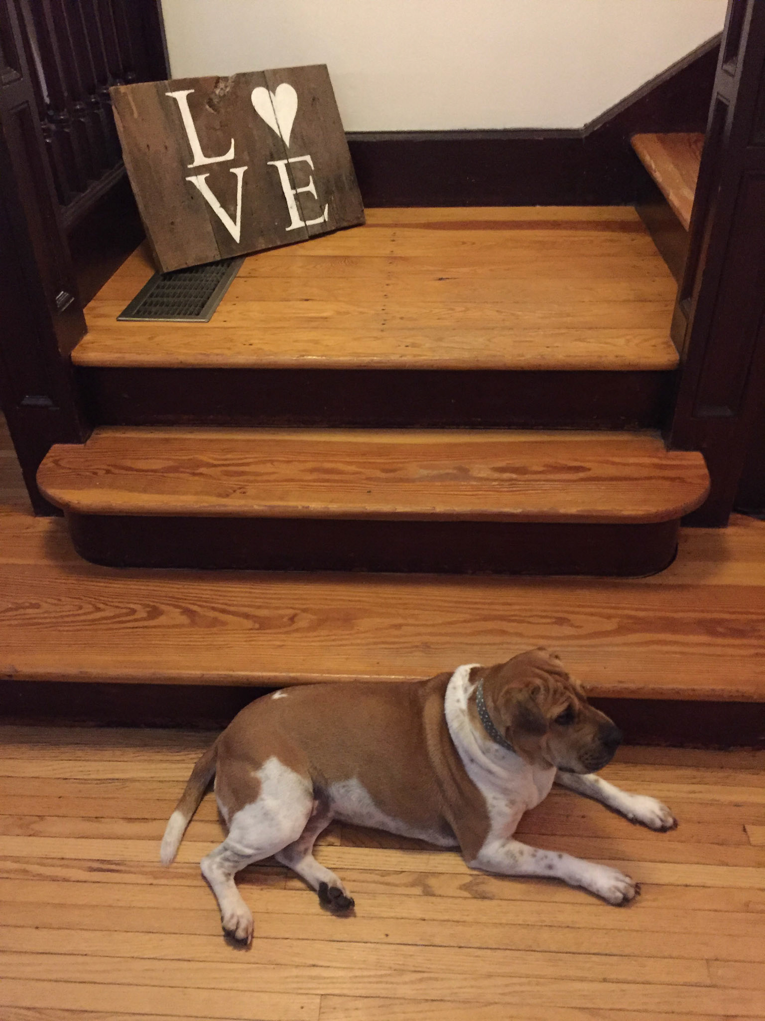 As if their house wasn't cute enough already: here's Prudence Noel