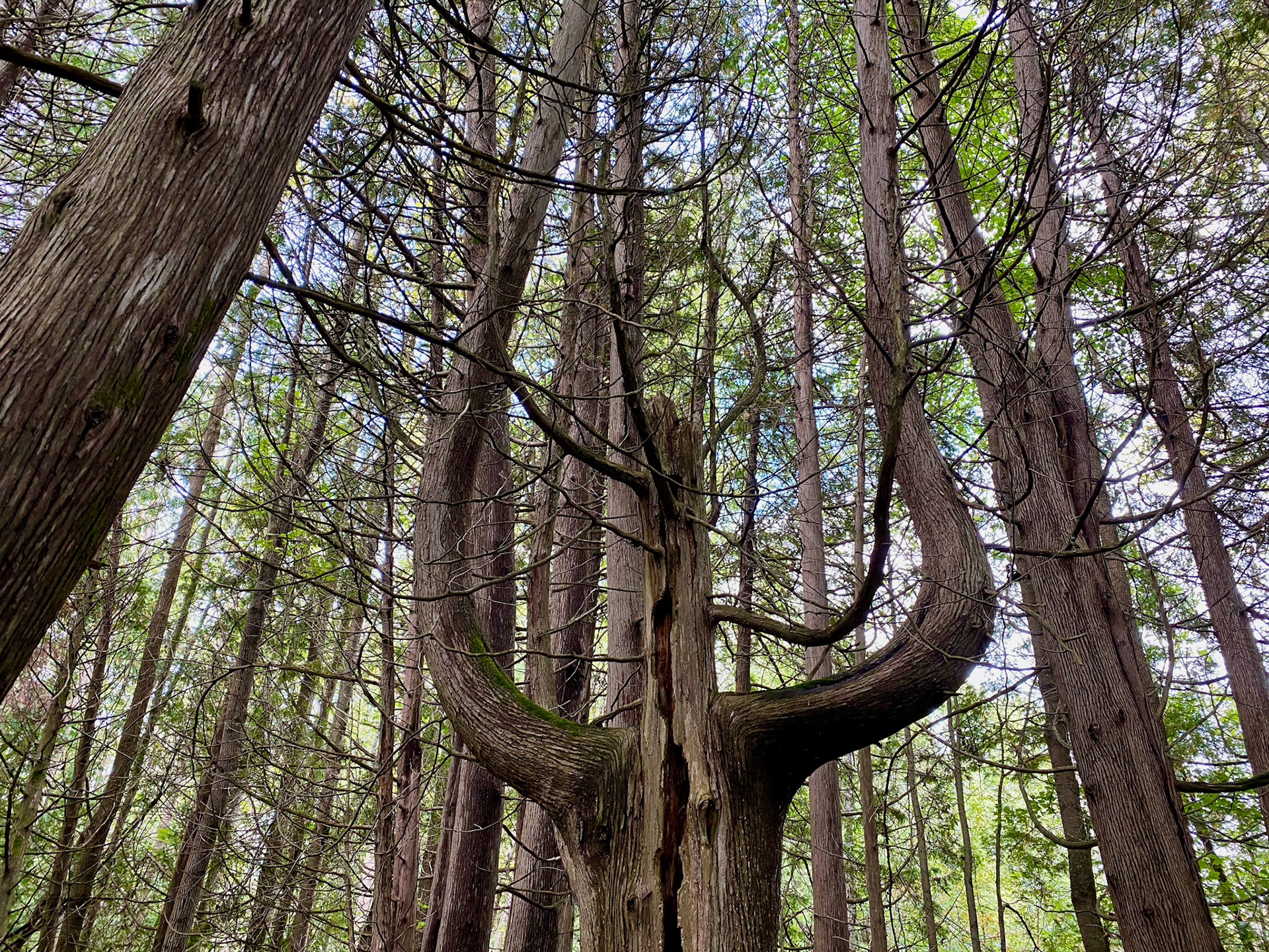 Visit to beautiful Wye Marsh
