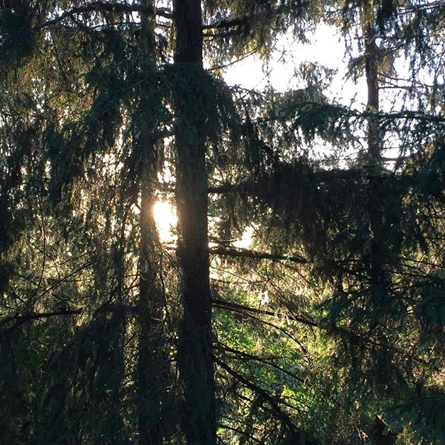 Behold... moar nature!!!