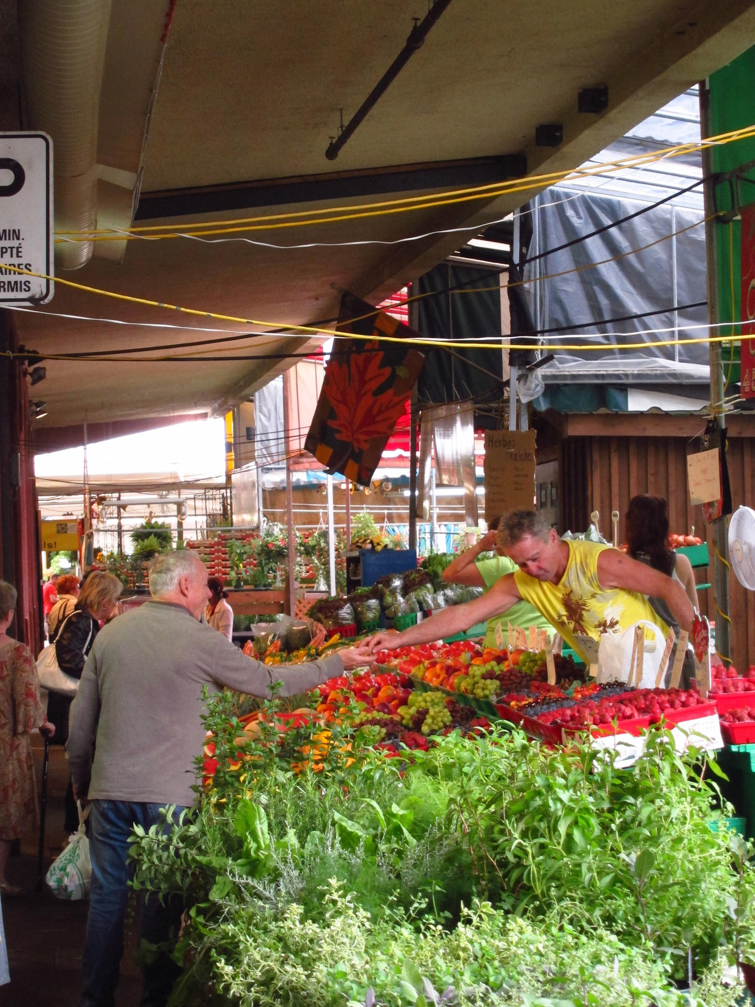 An explosion of colour and fresh smells at Montreal's Atwater Market