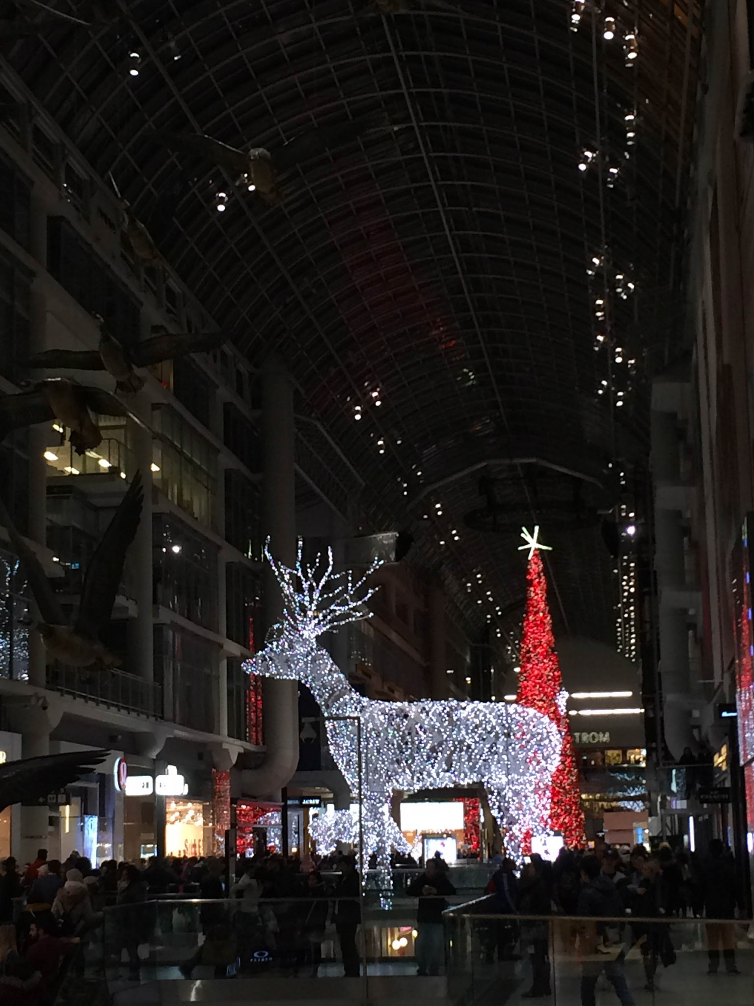 The collosal space of the Eaton Centre atrium is perfect for the massive reindeer and Canada's tallest Christmas tree