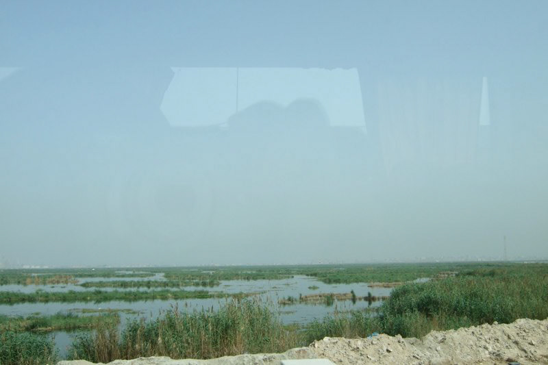 Oman and Egypt - the desert