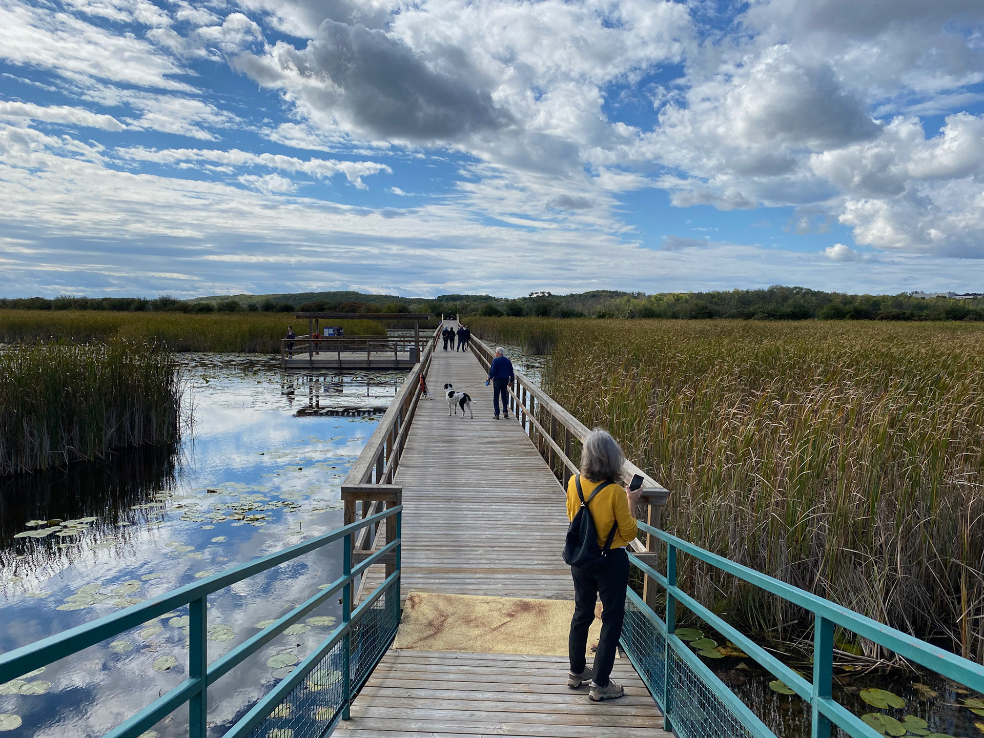Visit to beautiful Wye Marsh