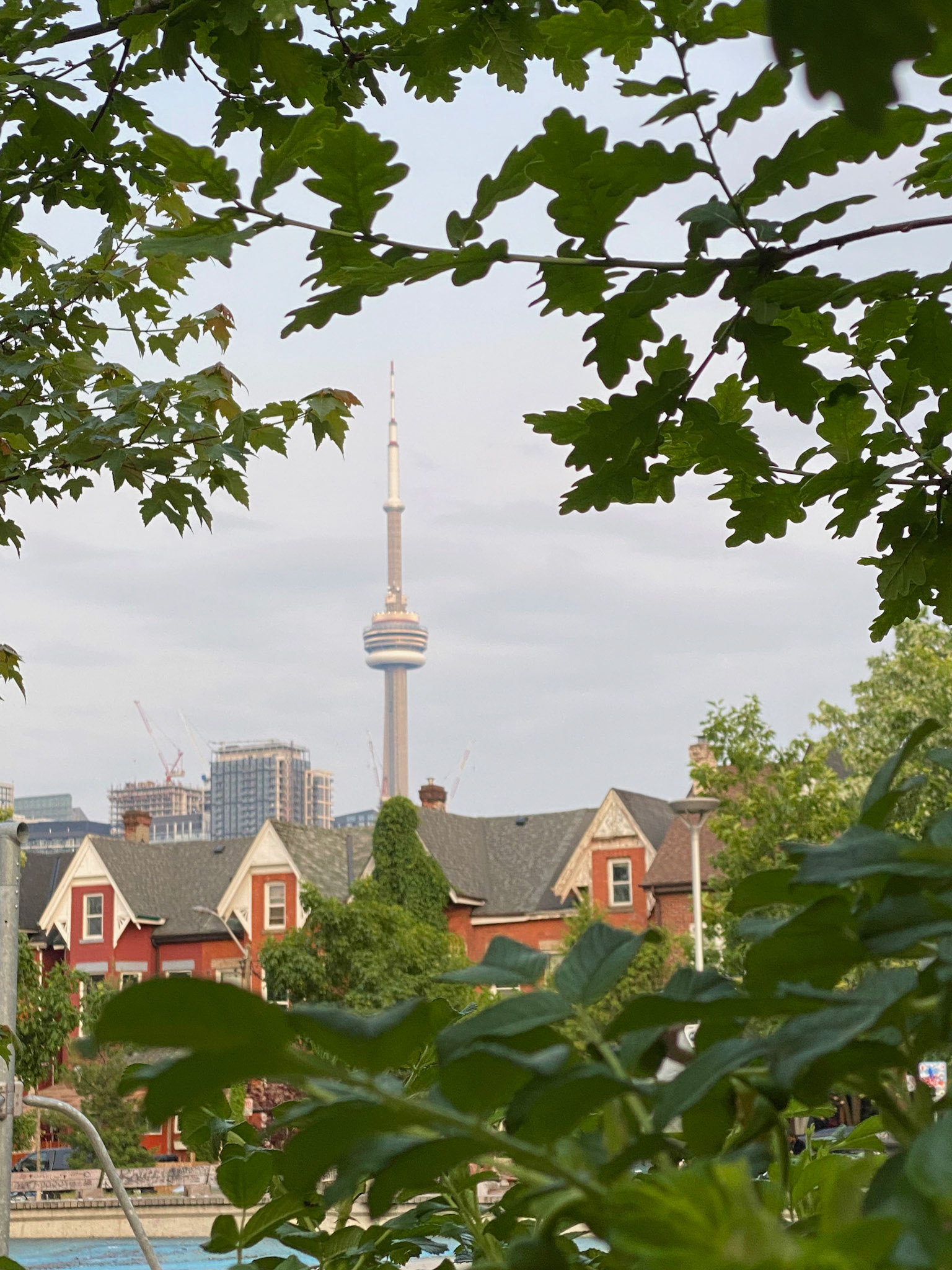 Went on a photography tour of Kensington Market