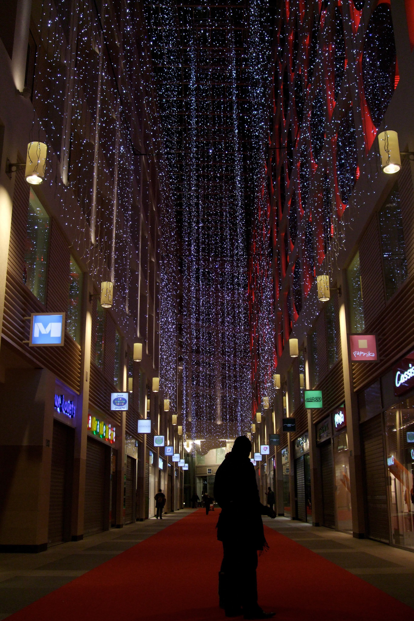 This modern mall in Brussels that I walked through had very neat Christmas lights