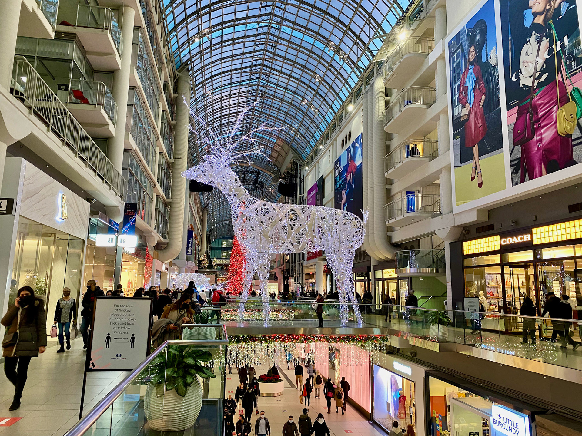 Toronto at Christmas December 2022