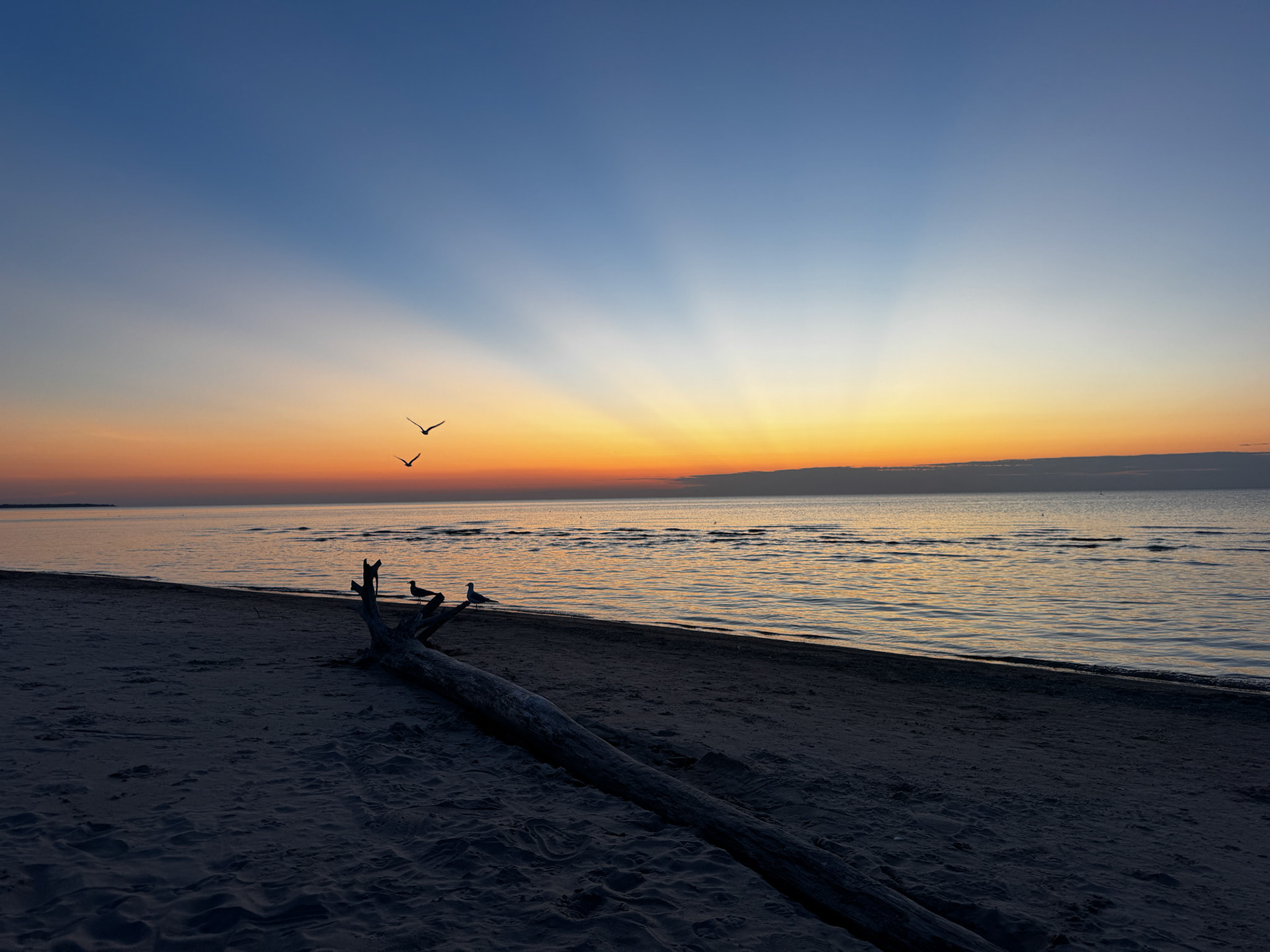 Port Franks sunset with Emerson - July 23, 2025