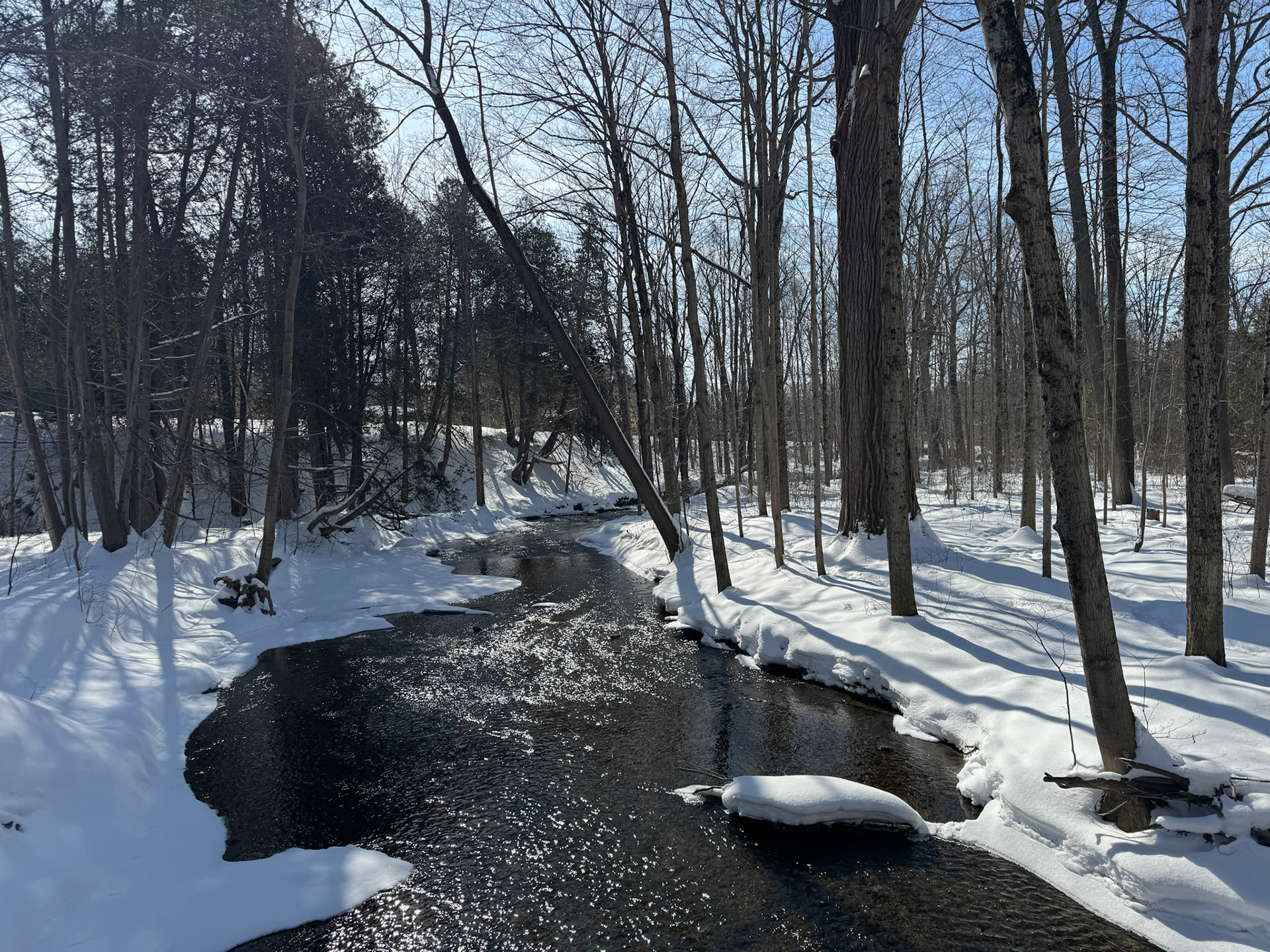 Beautiful day for snowshoeing with my parents at Coldstream Conservation Area