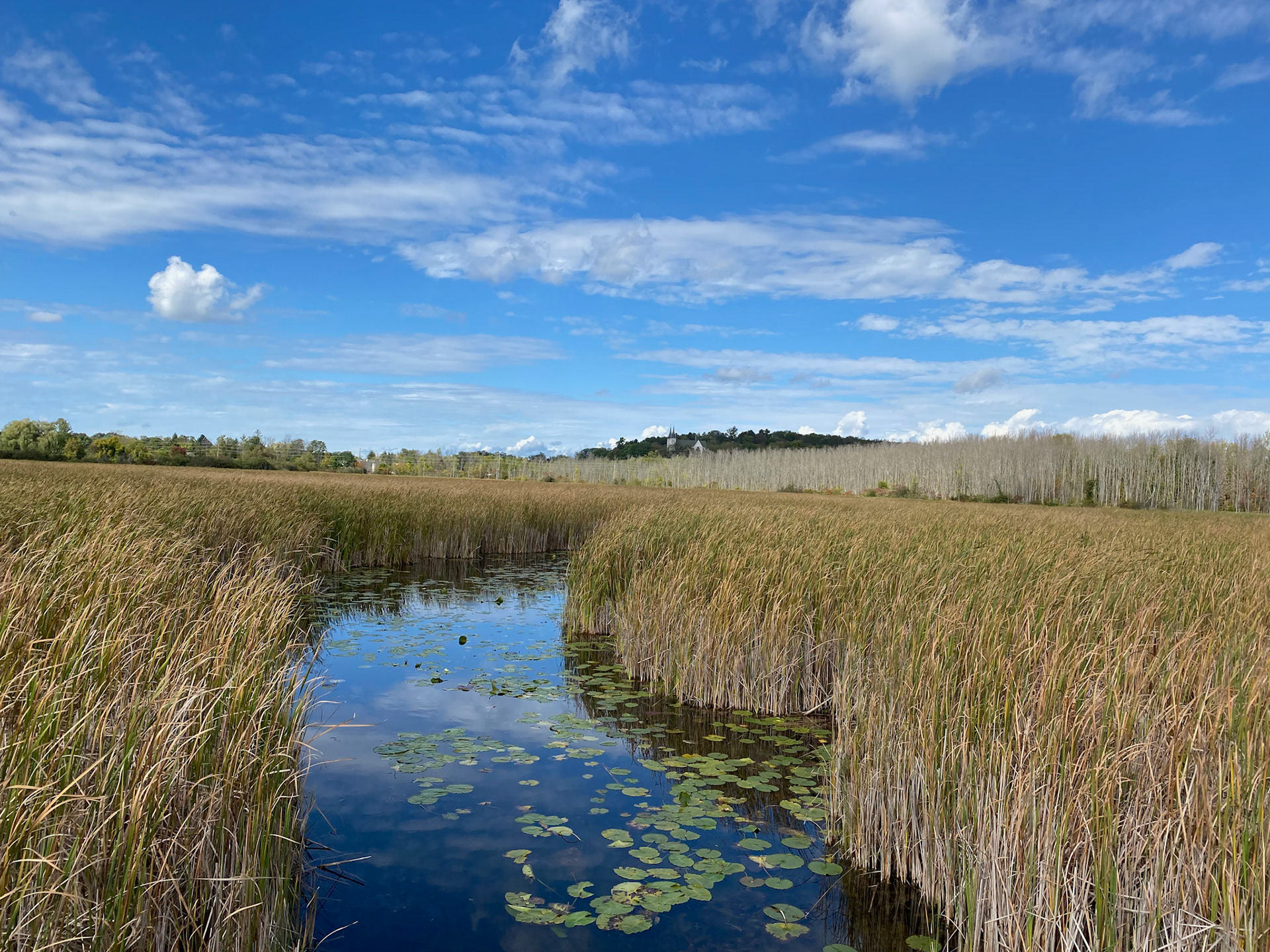 Visit to beautiful Wye Marsh