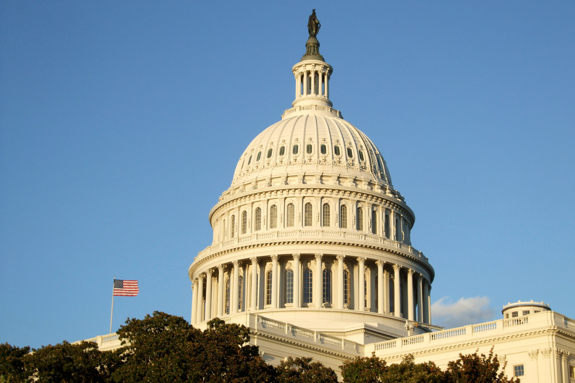 Rear shot of the immense dome of the Capitol Building. Wikipedia says it weighs 9 million lbs and is 287ft tall