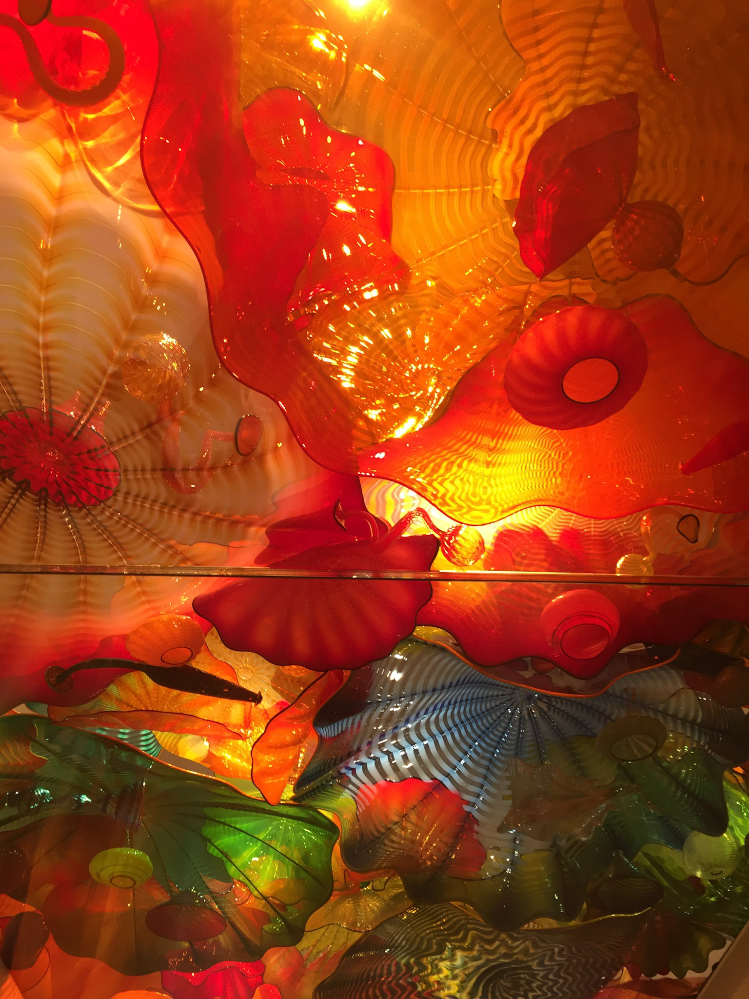 Dale Chihuly's exhibit at the ROM