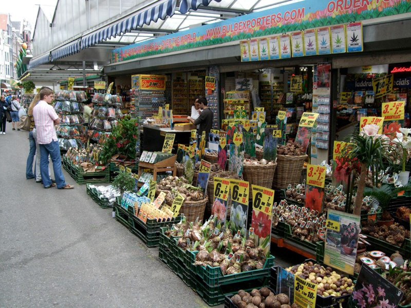 Netherlands, and return home to Canada