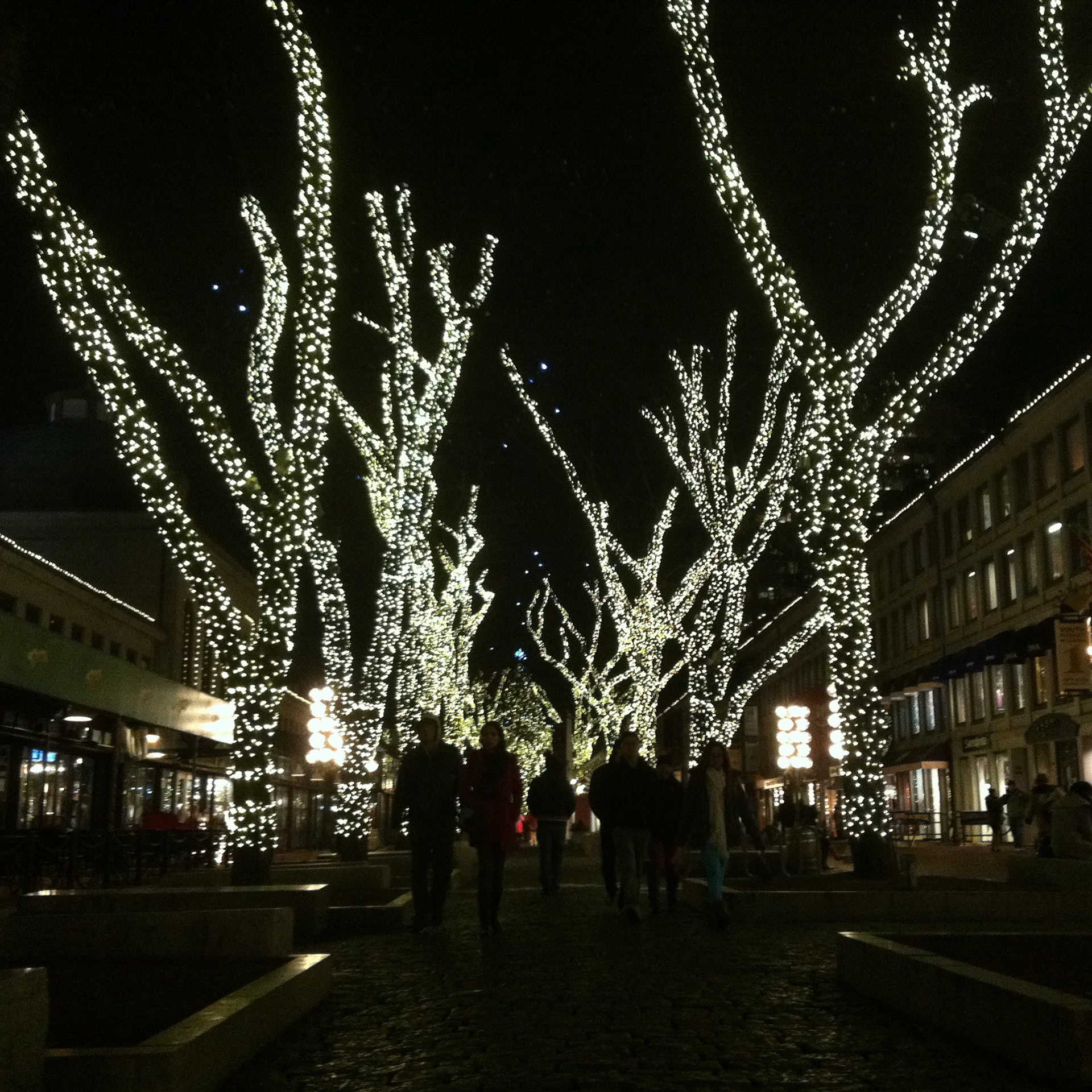 We went back to Quincy Market to enjoy the Christmas light display