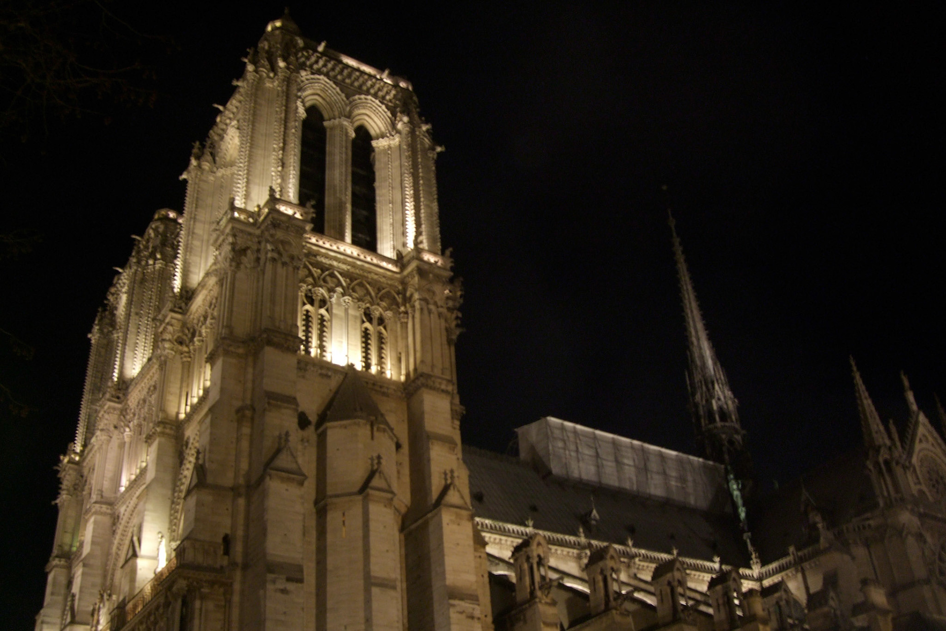 Detail of Notre Dame at night