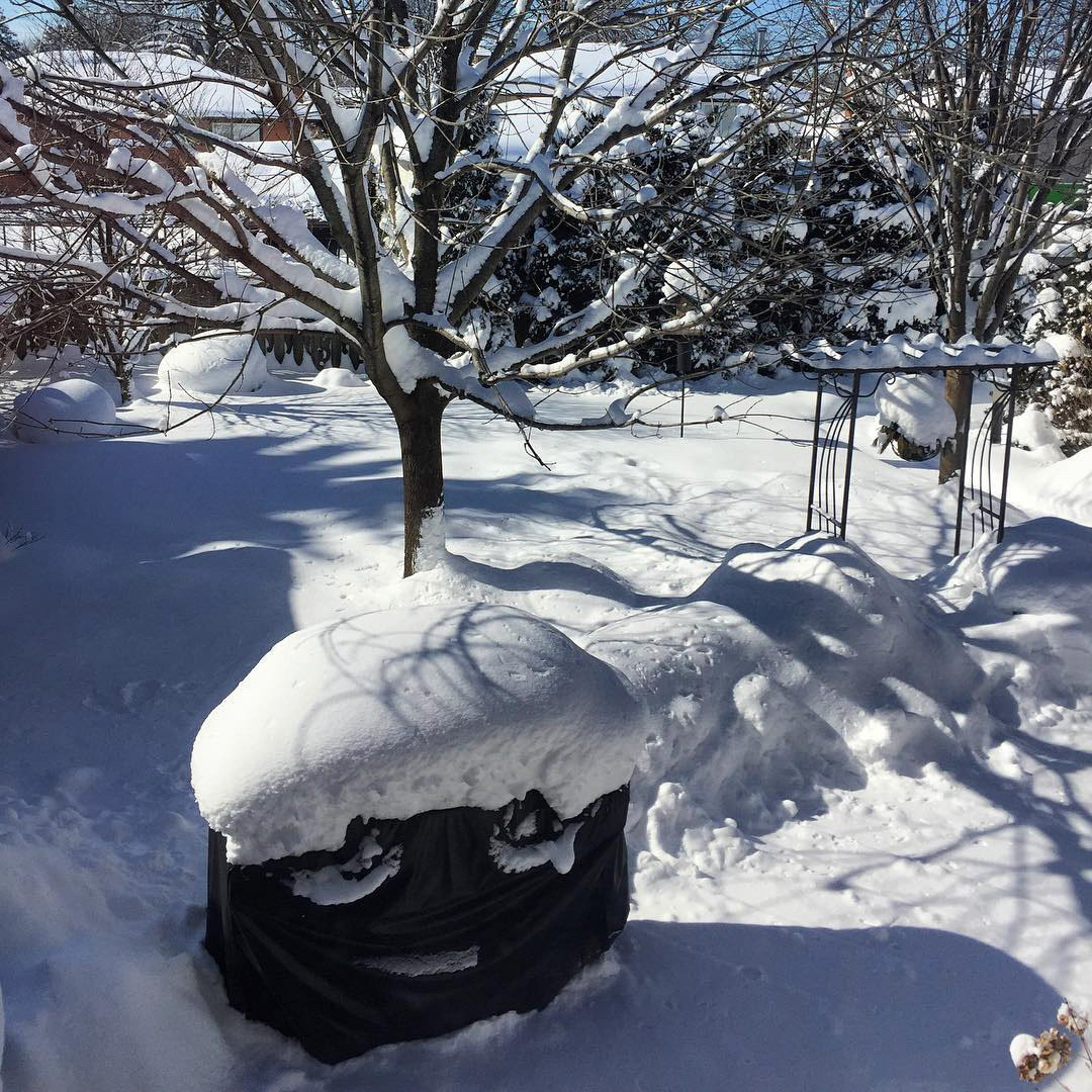 So much snow in #ldnont - beautiful day! Look at how much has piled up on my parents' bbq!