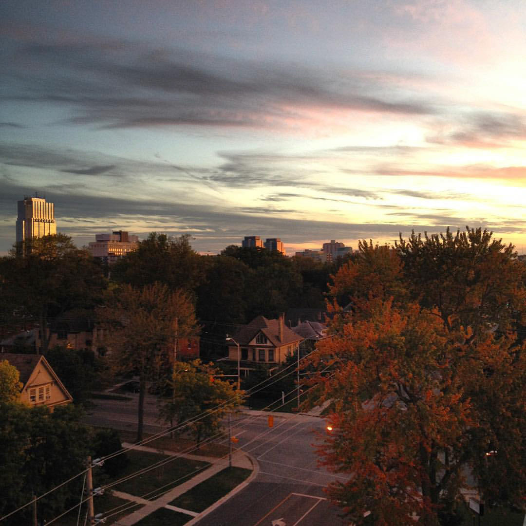Changing colours on the trees and in the sky. #autumn #autumnleaves #autumncolors #ldnont #sunset
