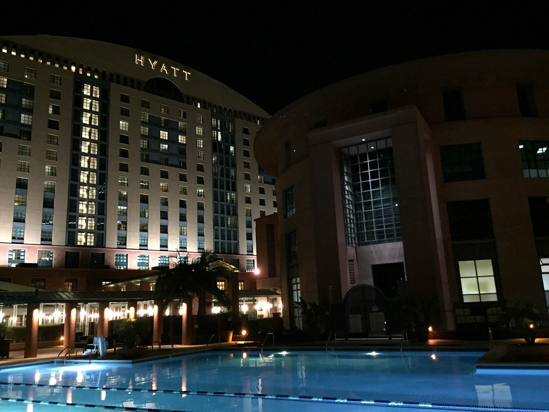 Beautiful pool at the Hyatt. I went for a lovely evening swim. Outdoors. In February!