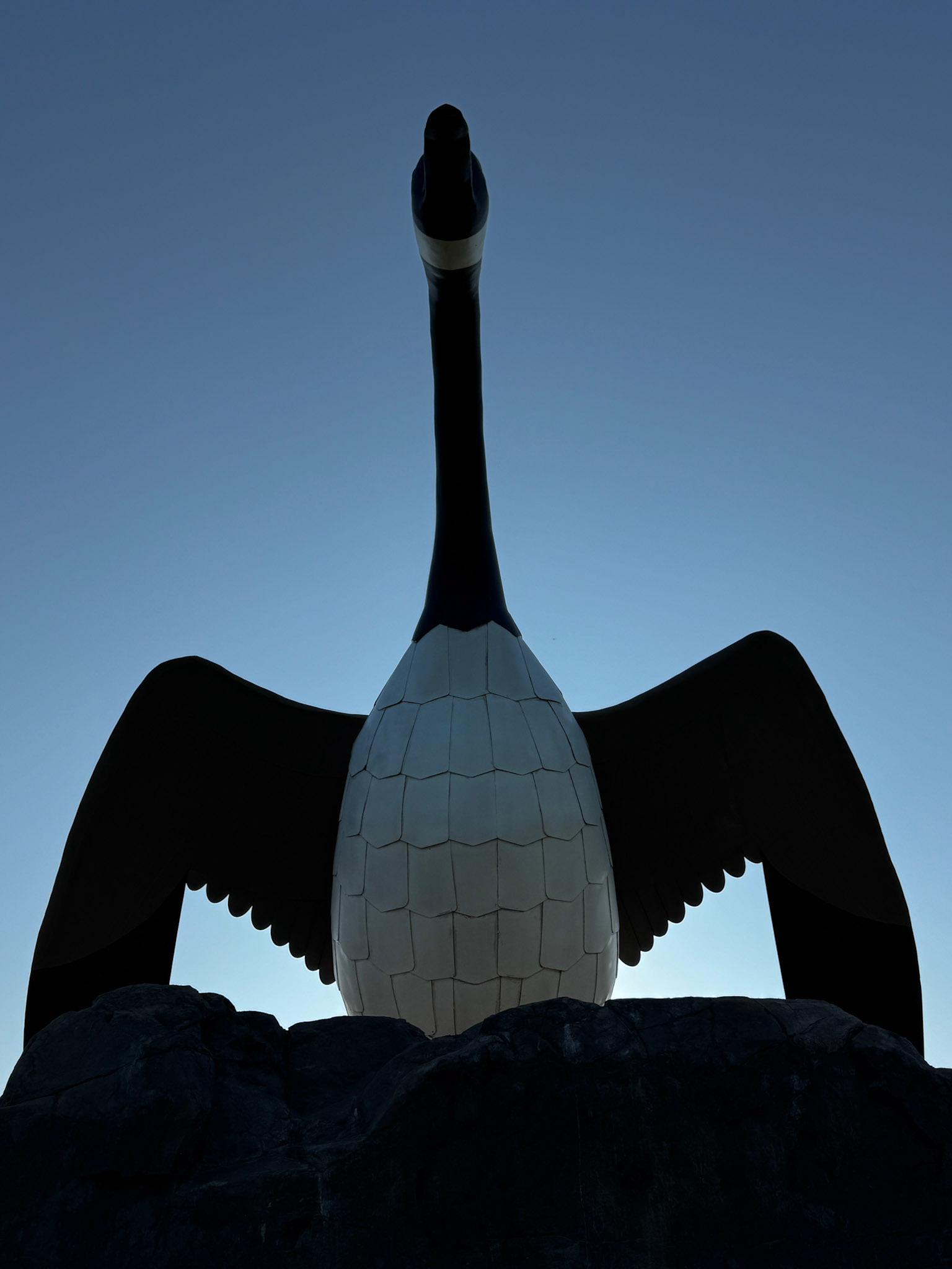 Wawa goose