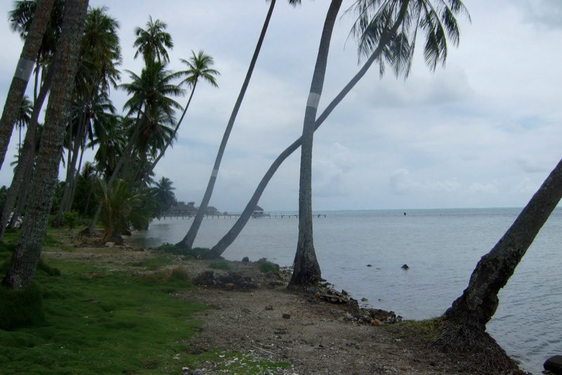 South Pacific 2 &amp; Auckland, NZ