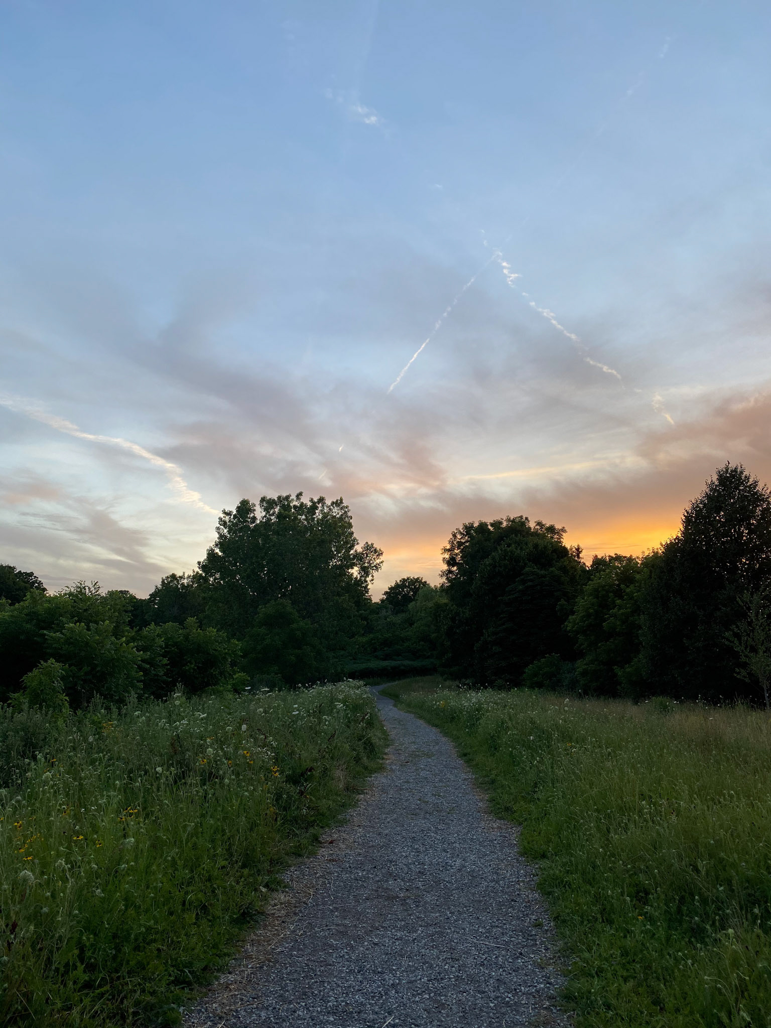Socially-distant PMCL Pride photo shoot with Jason and Ashley Plant!