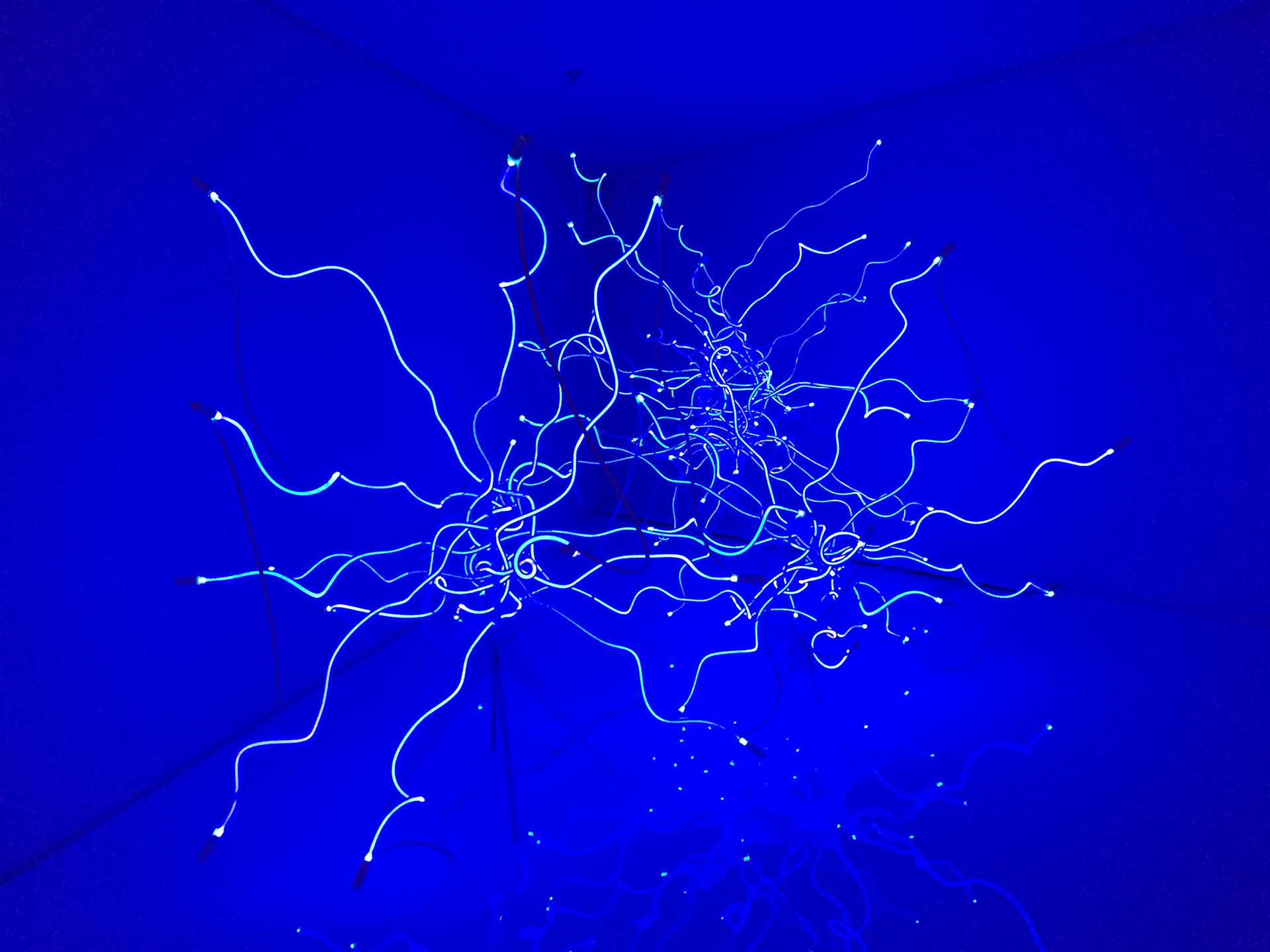Dale Chihuly's exhibit at the ROM