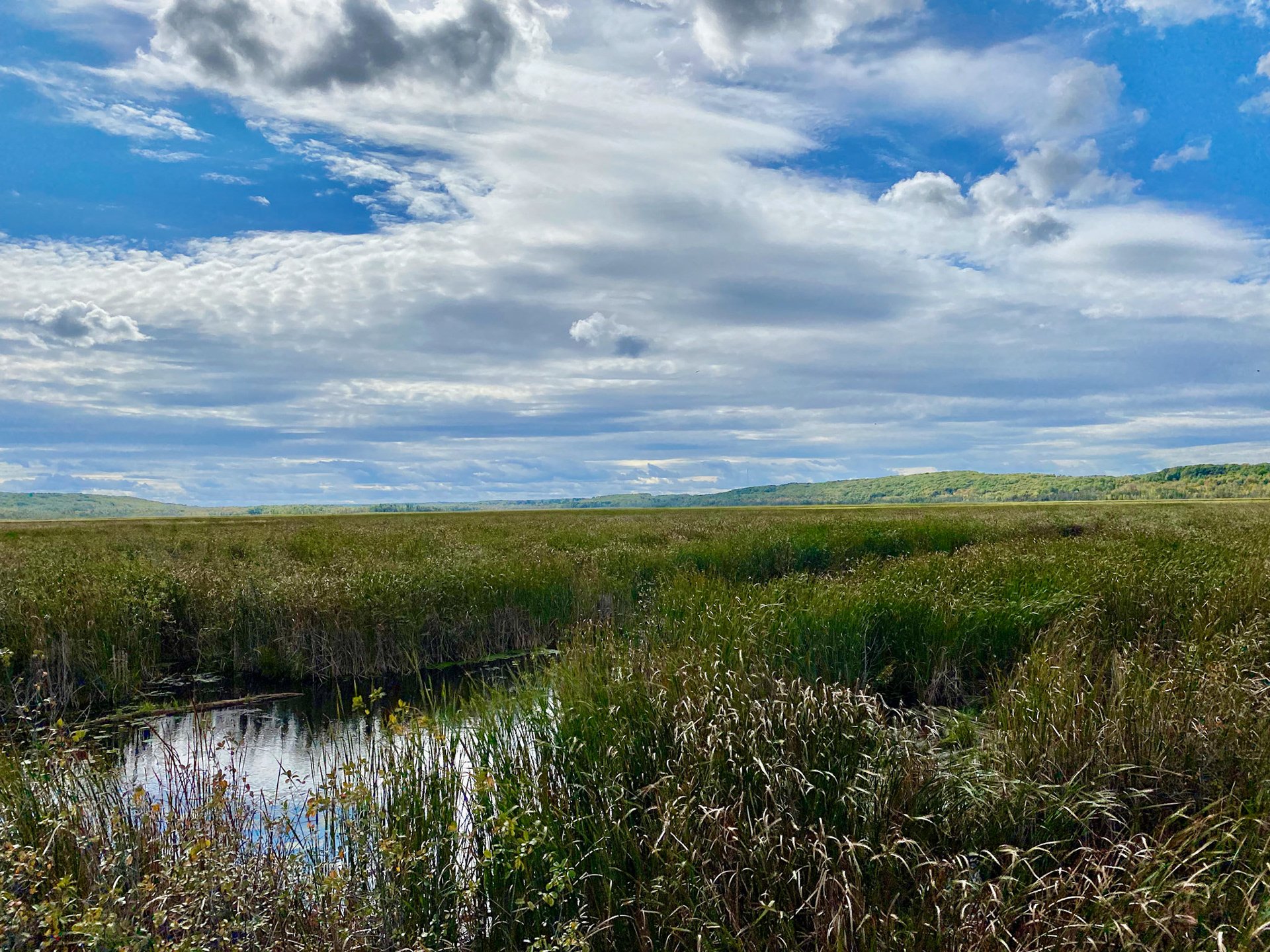 Visit to beautiful Wye Marsh