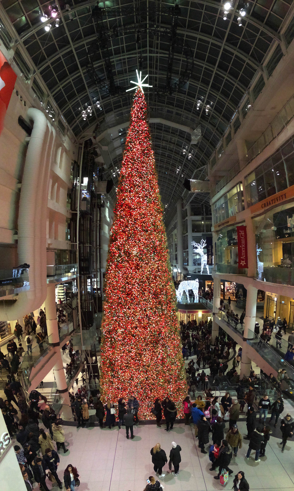 A vertical panorama shot captures how tall the Eaton Centre Christmas tree is in perspective