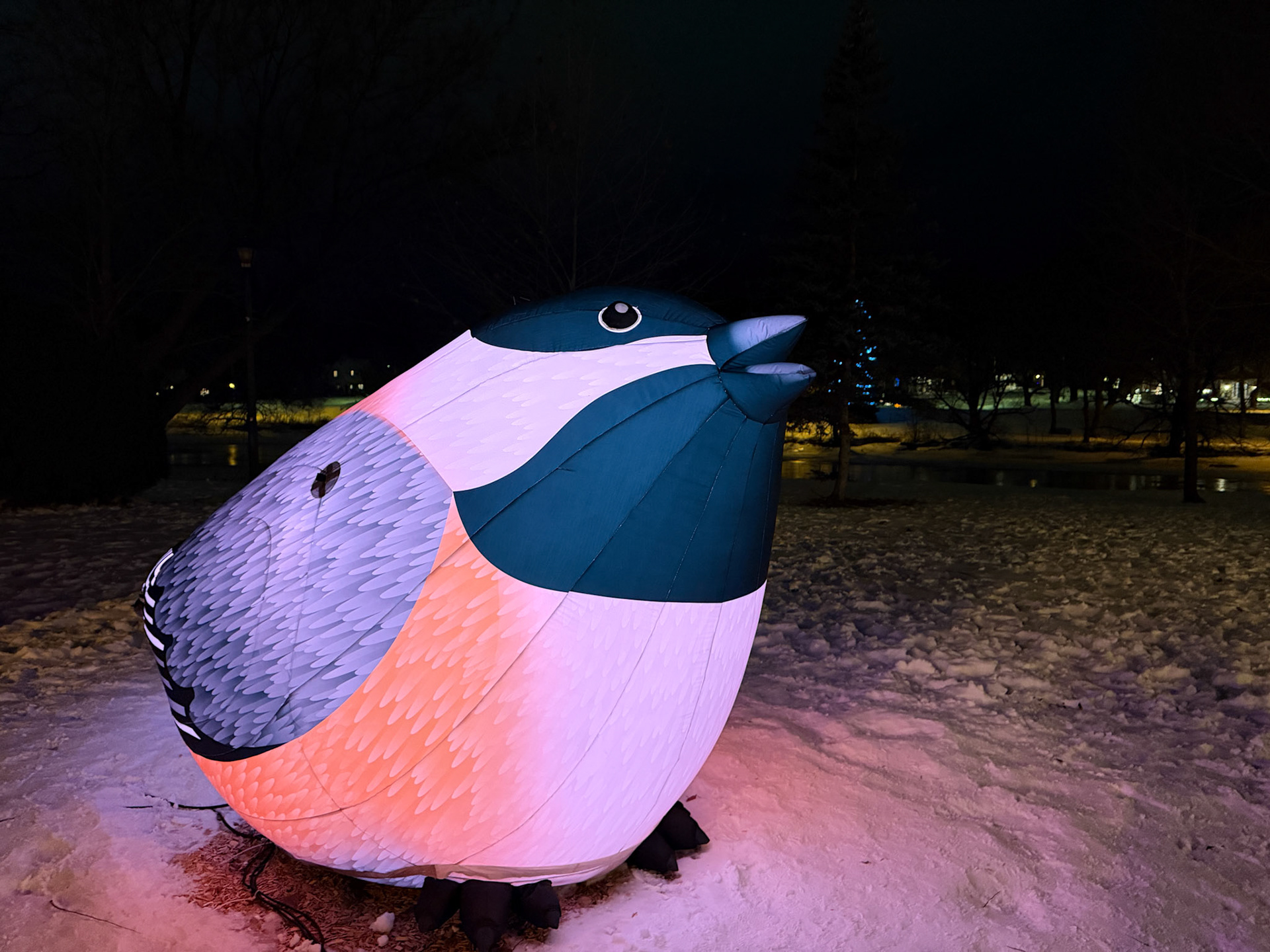 The Birds of a Feather installation at Tom Patterson Island