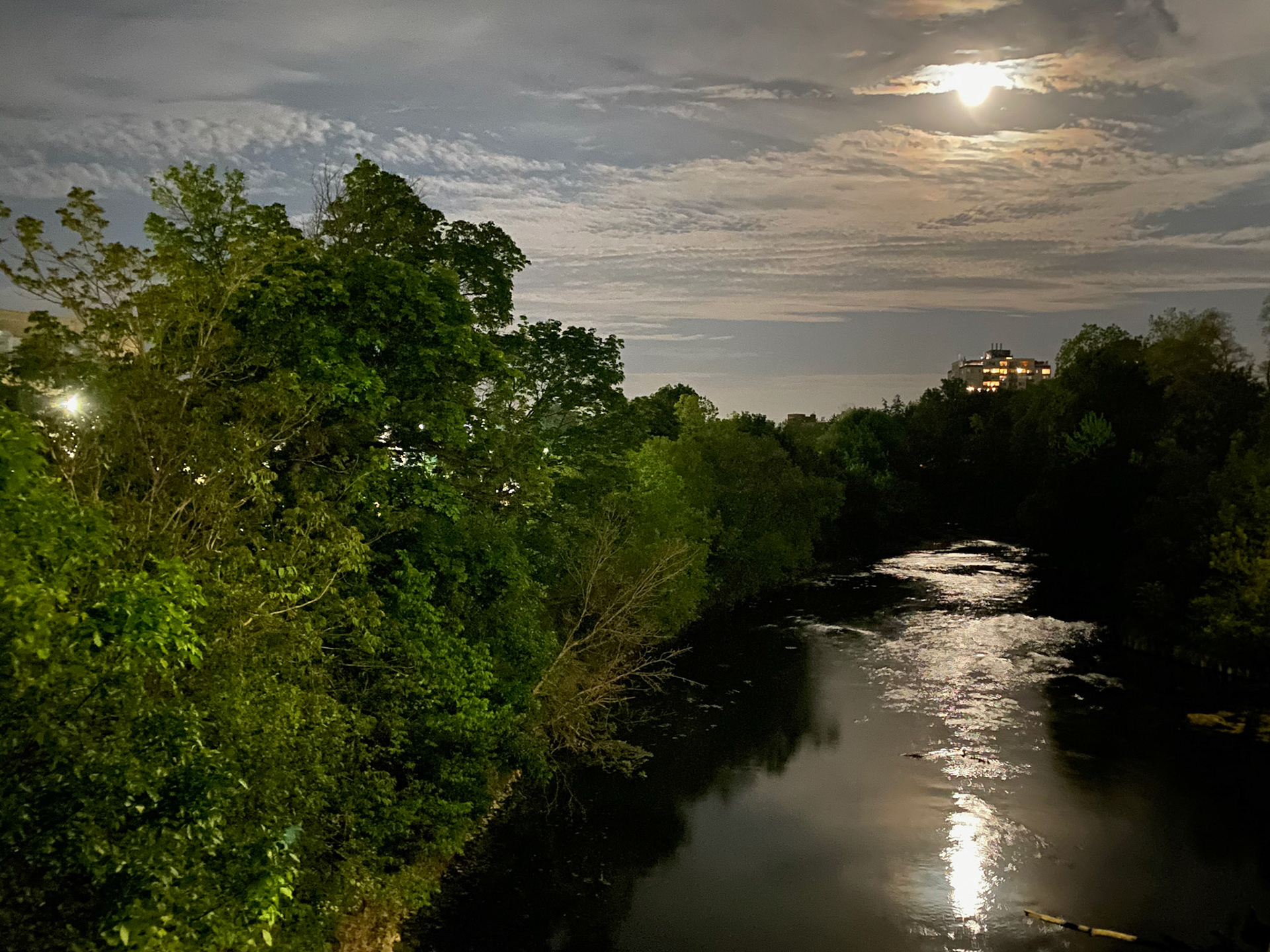 almost full moon over the Thames River at Ridout in Old South on a 21km walk