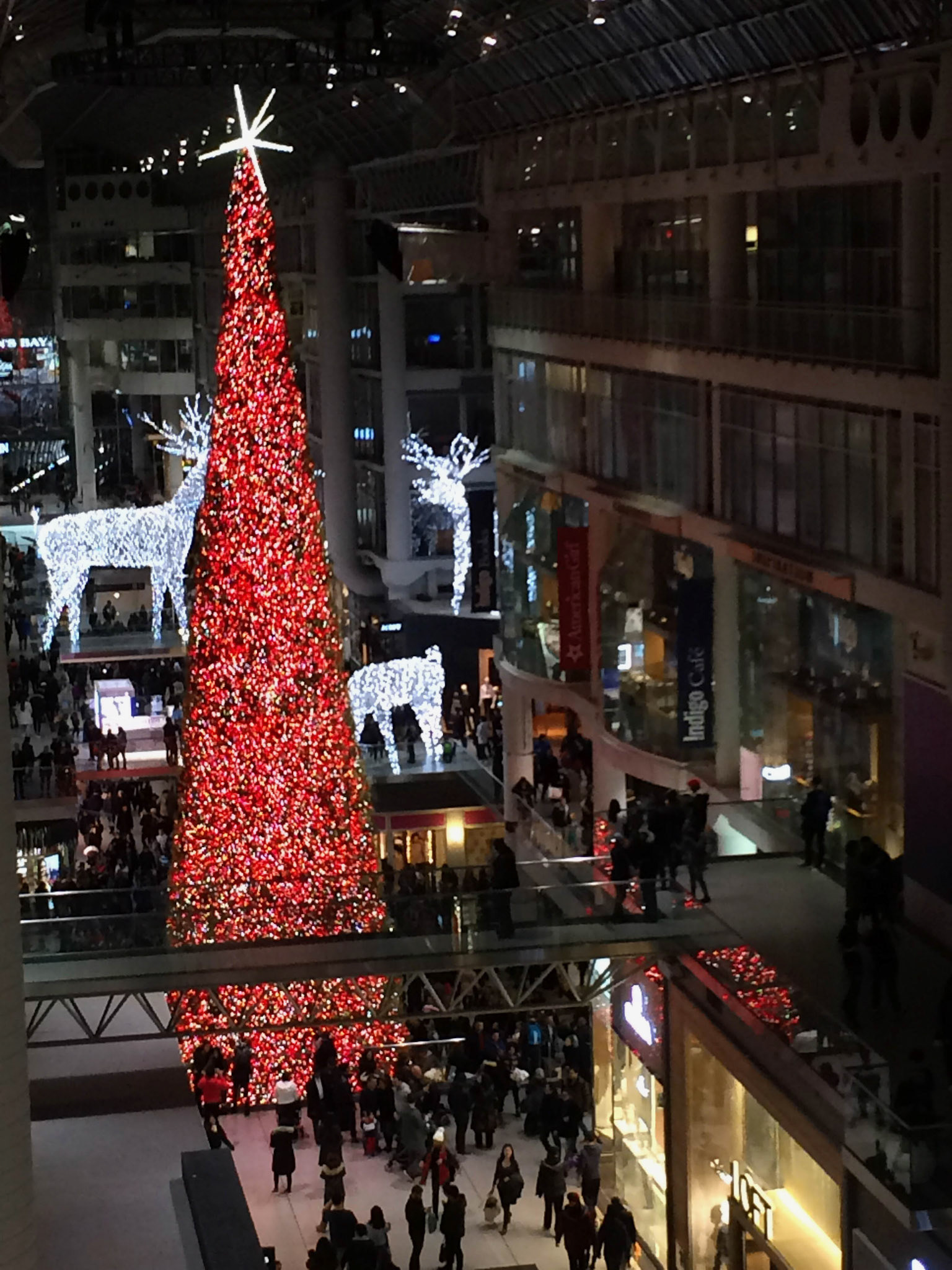 The soaring glass atrium of Toronto Eaton Centre