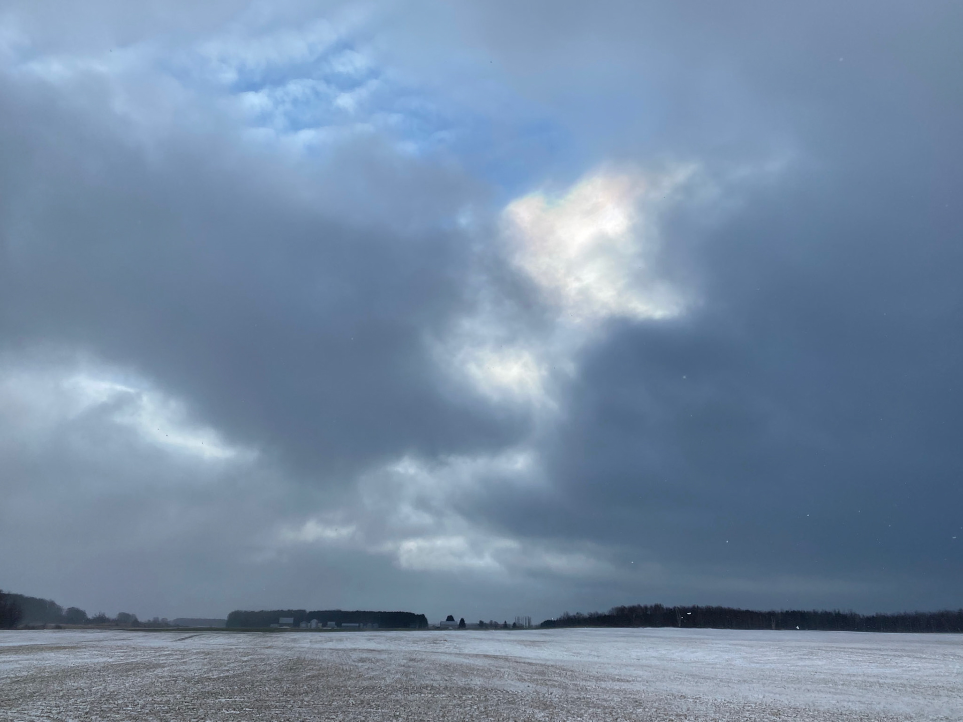 Winter Beauty near the cottage