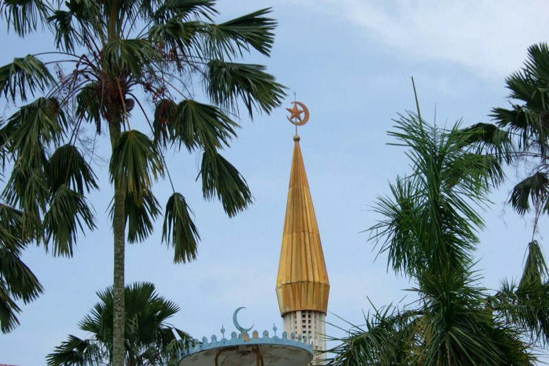 Brunei and Hong Kong