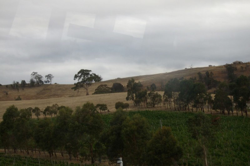 Australia and a few Misc. photos