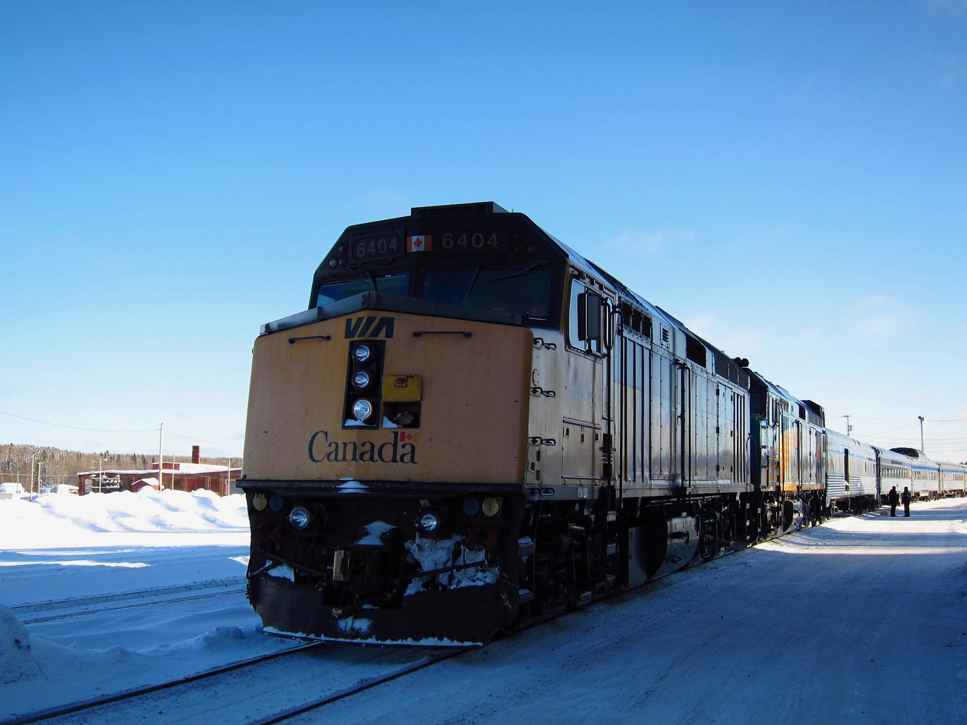 The majestic Canadian