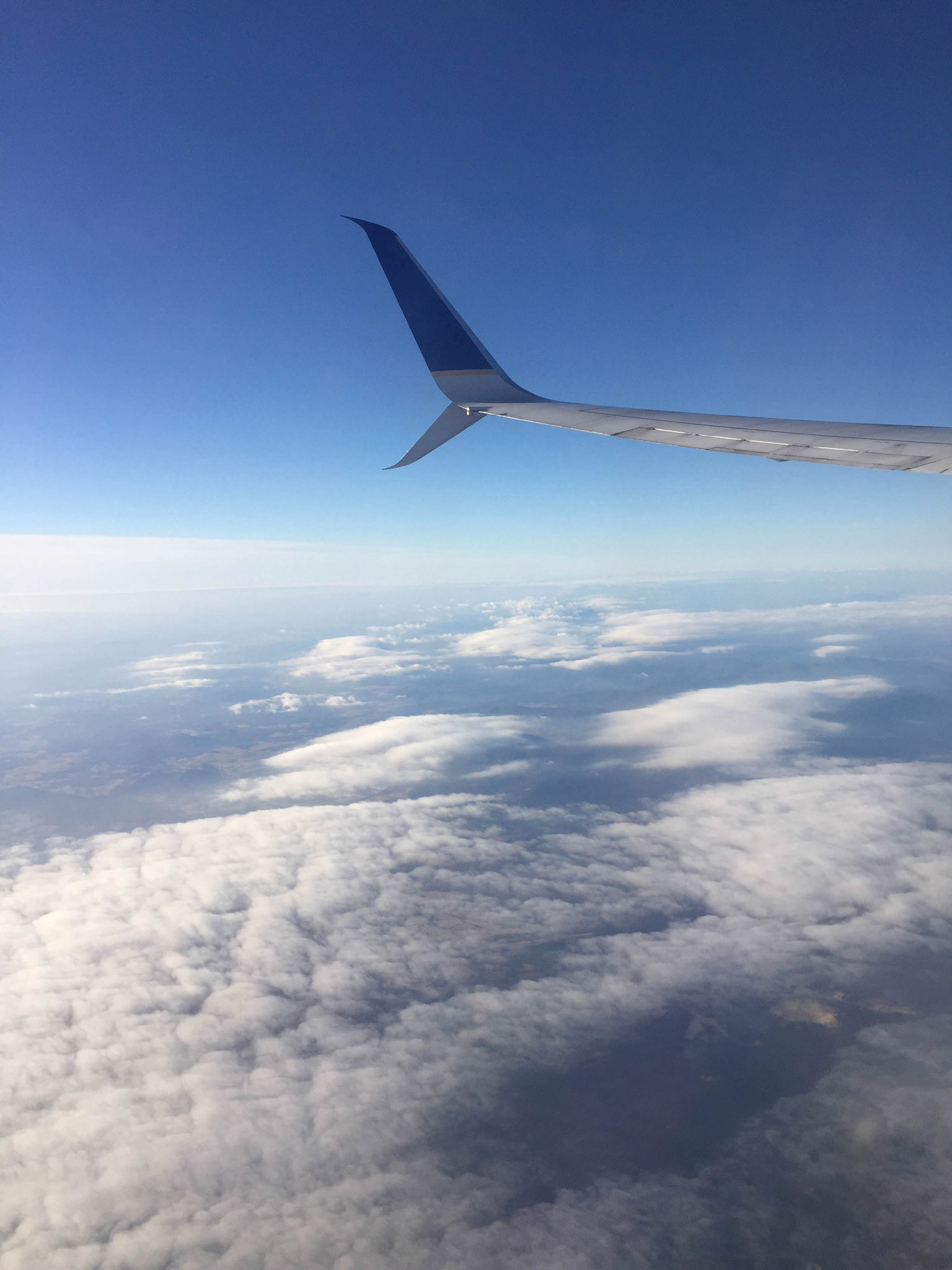 Sunny blue skies #airplane