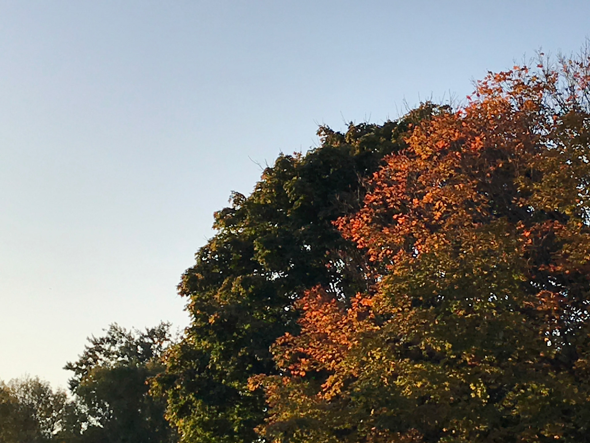 Thanksgiving sunrise, October 13, 2019