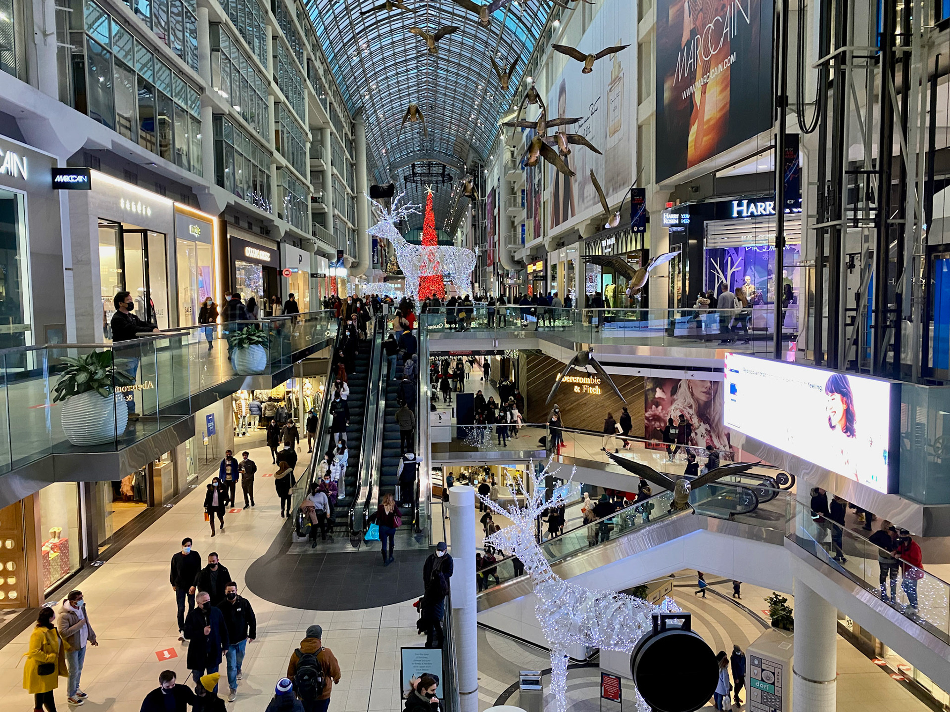 Toronto at Christmas December 2022