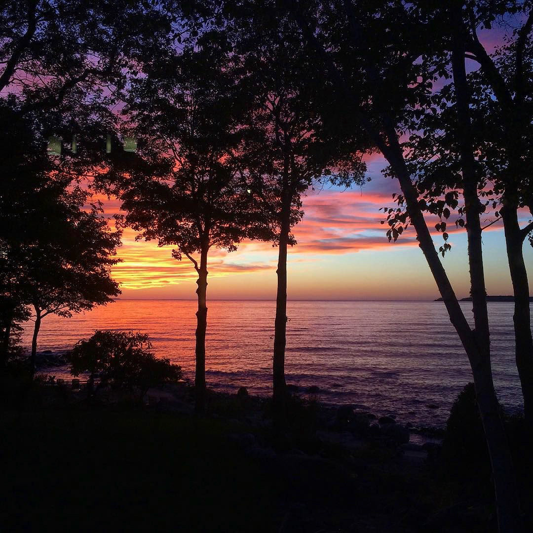 These colours though... And goodnight! #happythanksgiving
