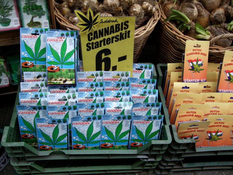 Netherlands, and return home to Canada